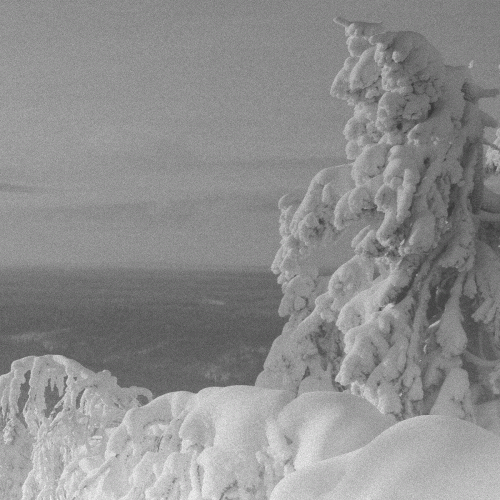 Vintlechkeit : Vokser Opp i Isen​.​.​.